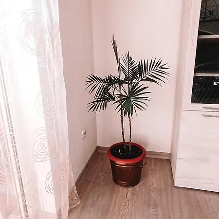 Poseidon House * Mostar