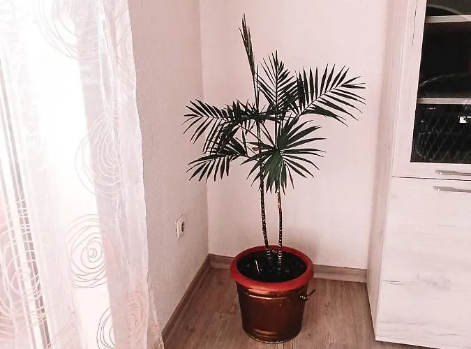 Poseidon House * Мостар